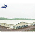 China low cost live chicken commercial structural poultry housing buildings for broiler